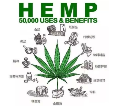 工业大麻火热背后 泡沫还是金矿？石油制品制造的视角分析