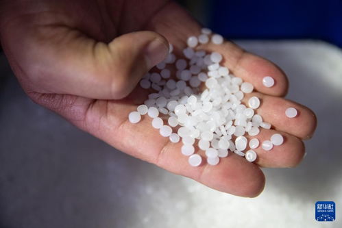 新华全媒 新时代中国调研行之看区域 东北篇 东北石化产业 减油增化 再造产业新动能